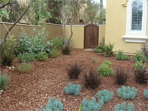 Landscape Services, Rancho Penasquitos, CA